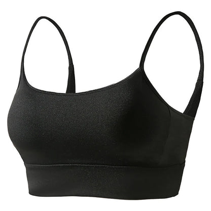 Low Back Sports Bra 